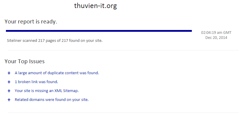 thuvien-it.org--kiem-tra-website-top-issues