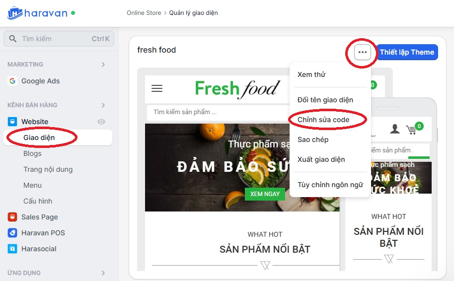 chỉnh sửa code website haravan